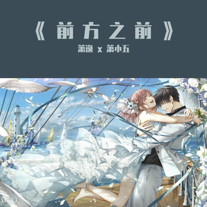 不要肉丝袜胸不要
