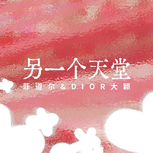 不要肉丝袜胸不要
