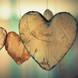 不要肉丝袜胸不要
